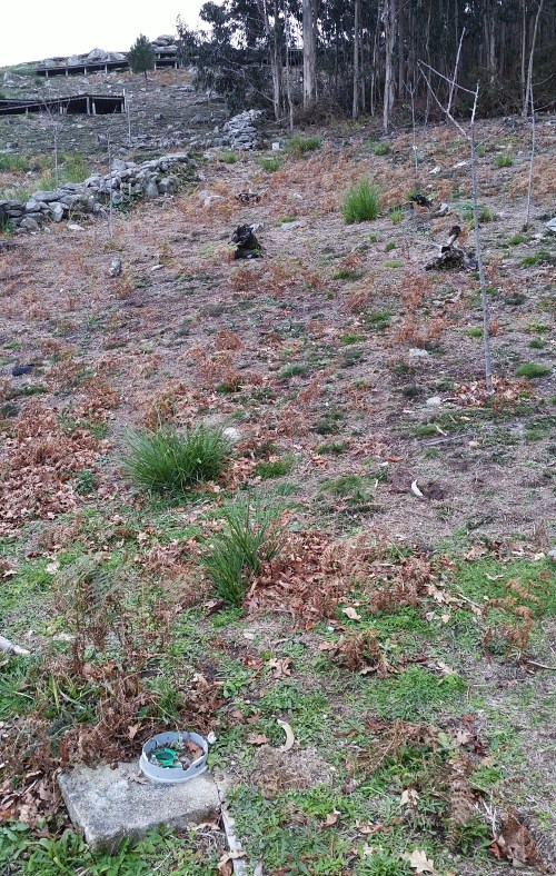 Área Arqueolóxica da Caeira.