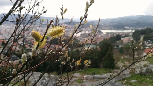 Área Arqueolóxica da Caeira.