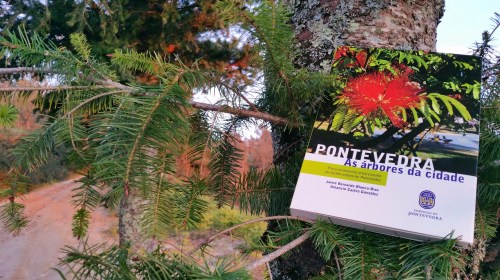 "Pontevedra: as árbores da cidade"