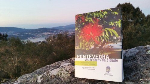 "Pontevedra: as árbores da cidade"