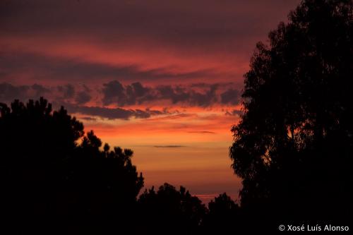 Foto: Xosé Luís Alonso