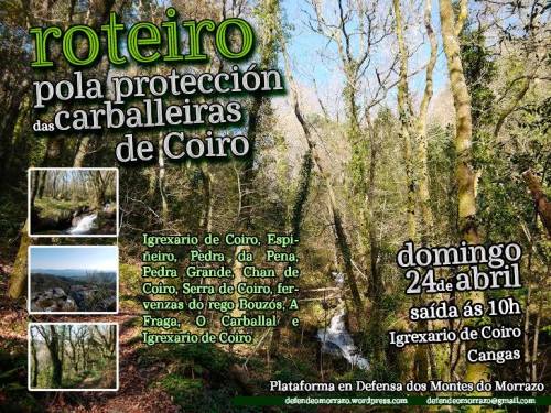 Ruta polas carballeiras de Coiro