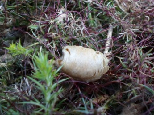 Foto: Damián Pereira