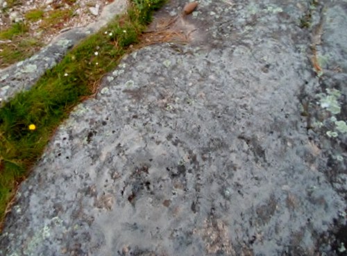 Foto: Damián Pereira