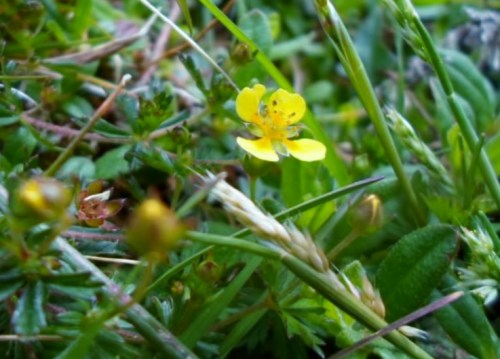 Foto: Damián Pereira