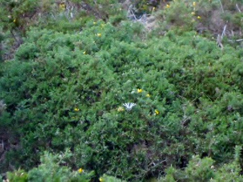 Foto: Damián Pereira