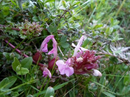 Foto: Damián Pereira