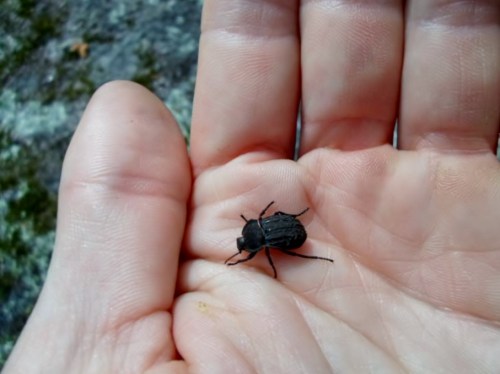 Foto: Damián Pereira