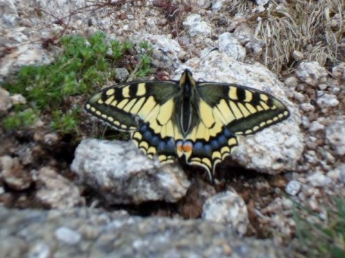 Foto: Damián Pereira