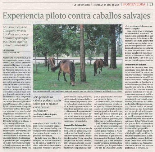 La Voz, 26 abril 2016