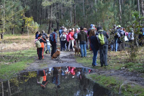Ruta polo Espazo Natural e Arqueolóxico dos Sete Camiños organizada por Almuinha.