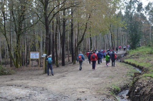 Ruta polo Espazo Natural e Arqueolóxico dos Sete Camiños organizada por Almuinha.