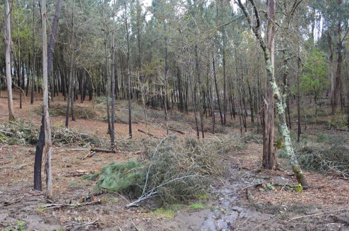 Ruta polo Espazo Natural e Arqueolóxico dos Sete Camiños organizada por Almuinha.