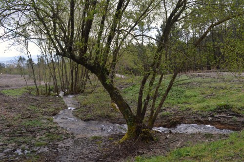 Ruta polo Espazo Natural e Arqueolóxico dos Sete Camiños organizada por Almuinha.