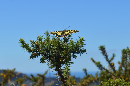 Ruta polo Espazo Natural e Arqueolóxico dos Sete Camiños organizada por Almuinha.