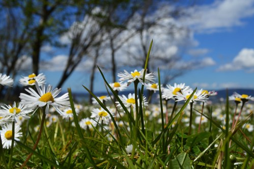 Ruta polo Espazo Natural e Arqueolóxico dos Sete Camiños organizada por Almuinha.