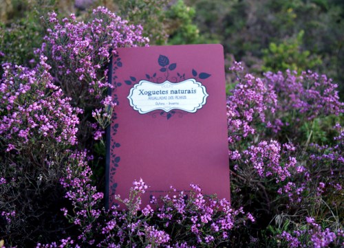 Día do libro no Monte Pituco (Pornedo).