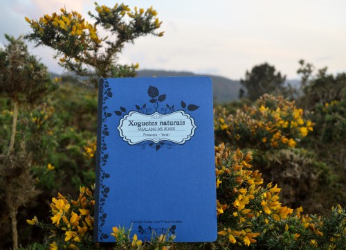 Día do libro no Monte Pituco (Pornedo).