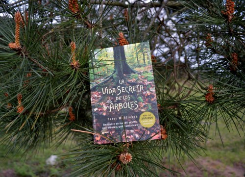 Dia do Libro no Monte Pituco