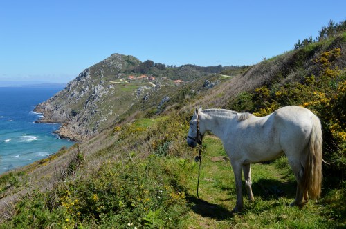 Cabo Home, Costa da Vela