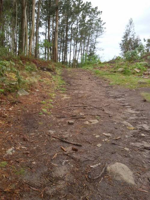 Limpeza das zonas afectadas polo lixo (Foto: R. Mella).