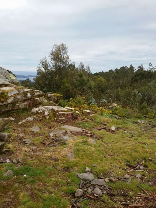 Limpeza das zonas afectadas polo lixo (Foto: R. Mella).