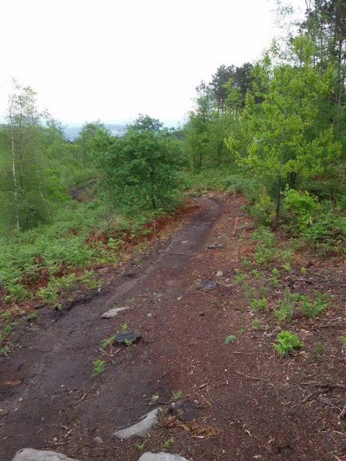 Limpeza das zonas afectadas polo lixo (Foto: R. Mella).