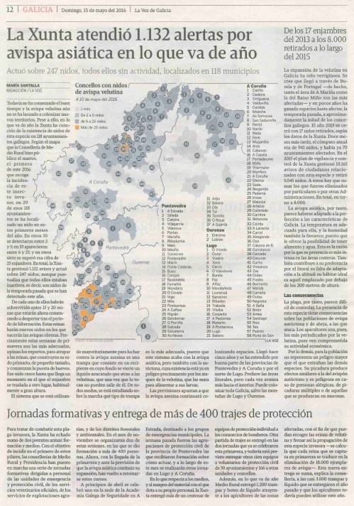 La Voz, 15 maio 2016