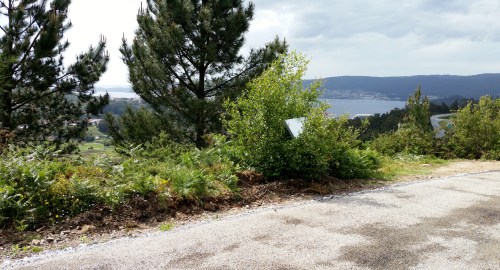 Vial de servizo da Variante, diante do conxunto rupestre de Pinal de Caeiro.
