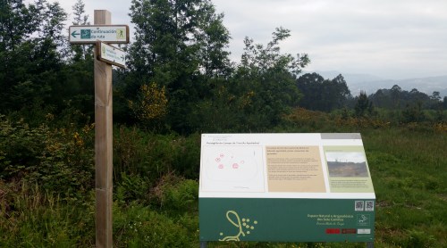 IV Saída polo Monte de Salcedo