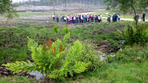 IV Saída polo Monte de Salcedo