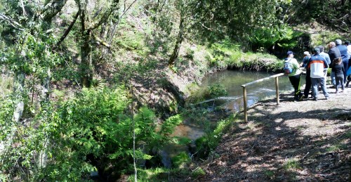 IV Saída polo Monte de Salcedo