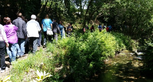 IV Saída polo Monte de Salcedo