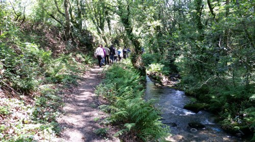 IV Saída polo Monte de Salcedo