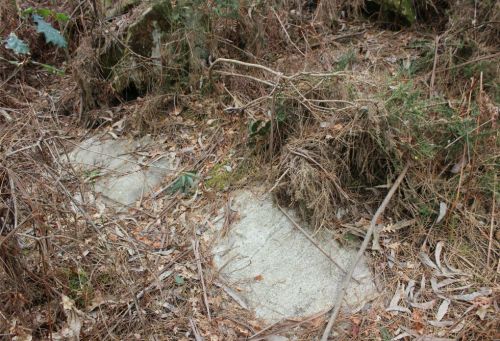 Petroglifos A Ran (foto, Veciñanza de Cuntis).