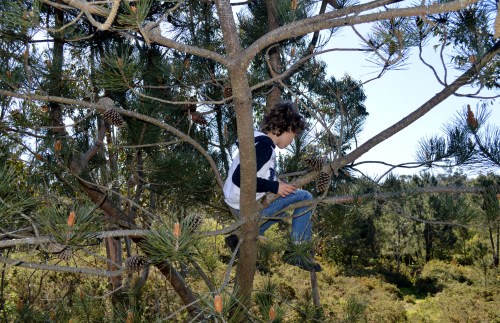 Visita do grupo Jóvenes Pioneros ao Espazo Sete Camiños.