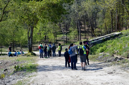 Na Fonte da Prata, en Salcedo.