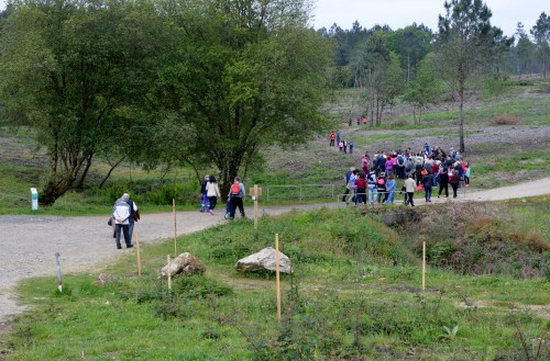 IV Saída polo Monte de Salcedo