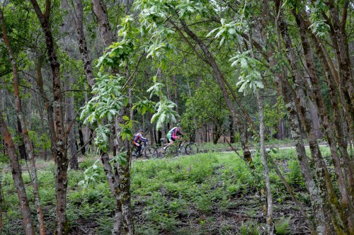 IV Saída polo Monte de Salcedo