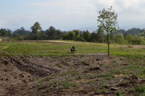 IV Saída polo Monte de Salcedo