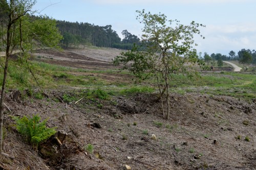 IV Saída polo Monte de Salcedo