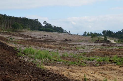 IV Saída polo Monte de Salcedo