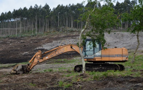IV Saída polo Monte de Salcedo