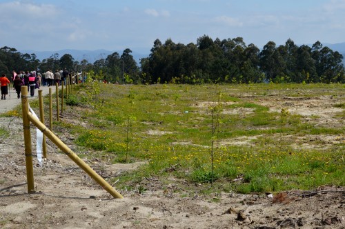 IV Saída polo Monte de Salcedo