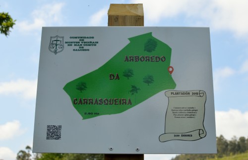 IV Saída polo Monte de Salcedo