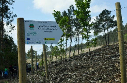 IV Saída polo Monte de Salcedo