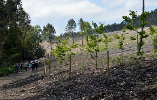 IV Saída polo Monte de Salcedo