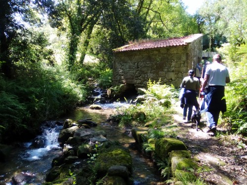 IV Saída polo Monte de Salcedo