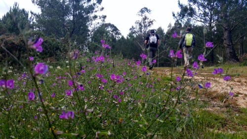Ruta polos montes de San Xulián