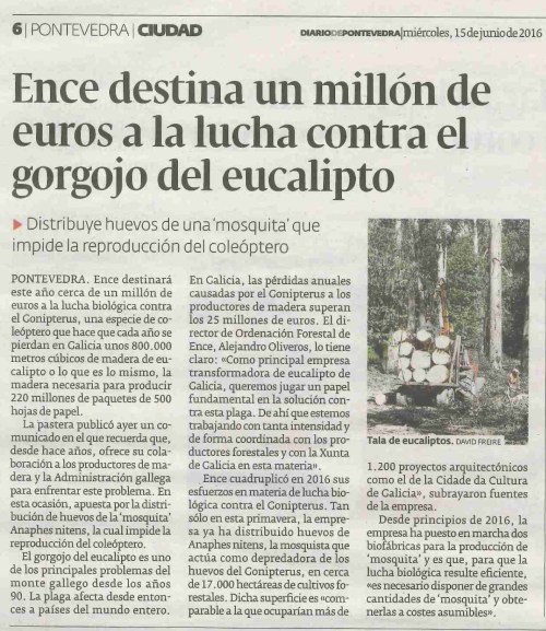 Diario, 15 xuño 2016